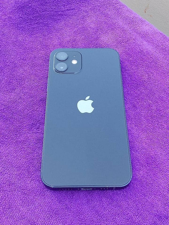 Apple iPhone 12 1