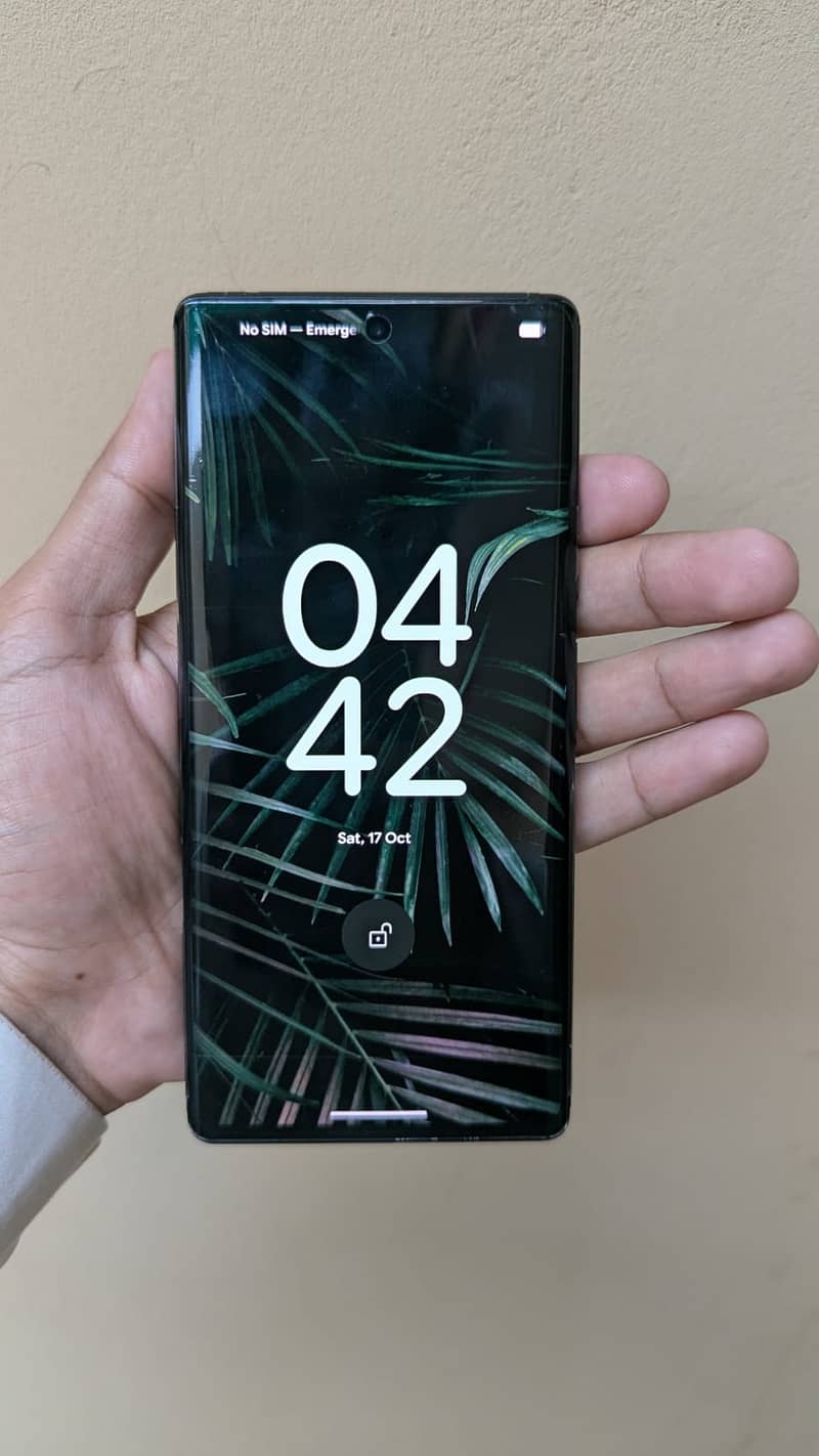 Google Pixel 6 Pro 0