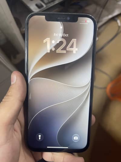 Apple iPhone 12 Pro Max