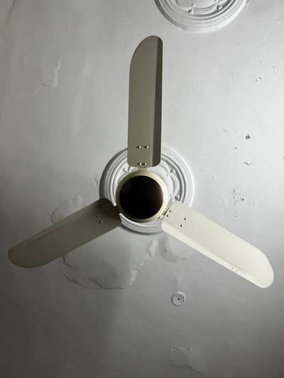 Ceiling fans for sale