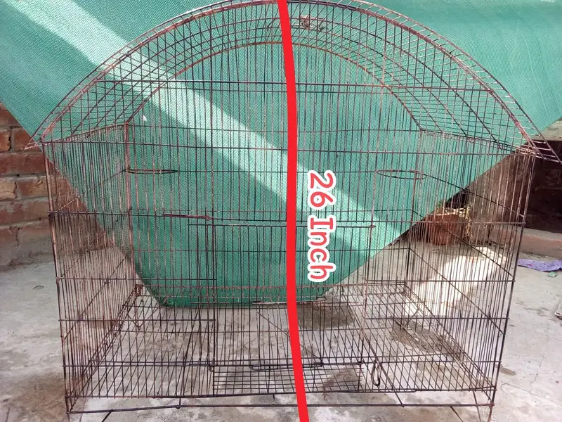 Birds Cage For sale — photo 2