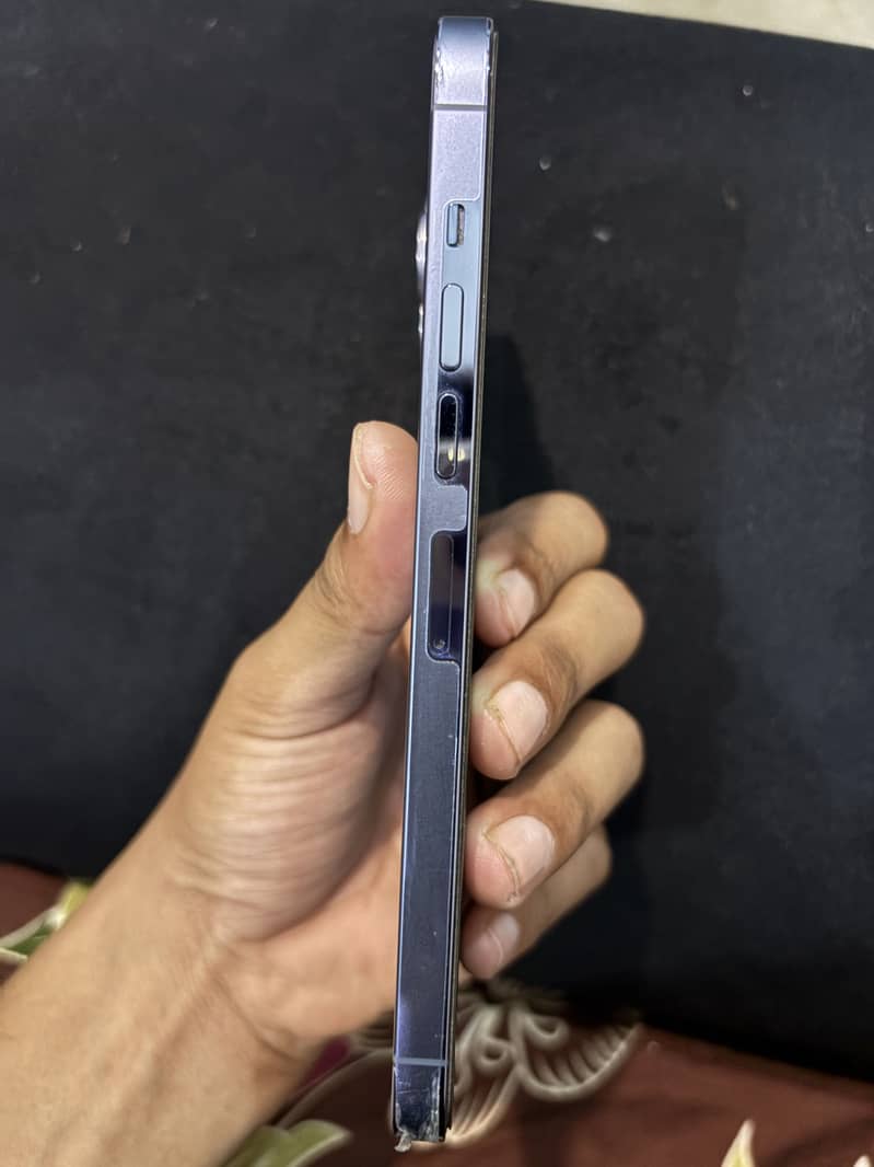 Apple iPhone 13 Pro Max 1