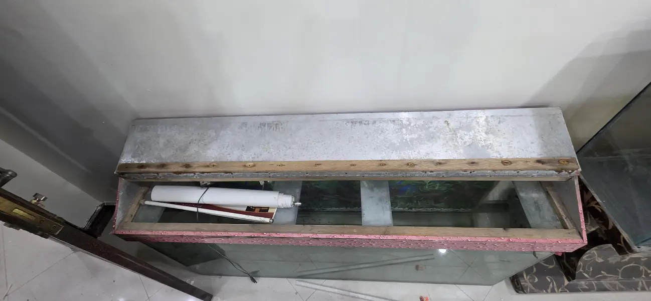 aquarium for sale 2.5ft and 5ft and discuss fish single — photo 6