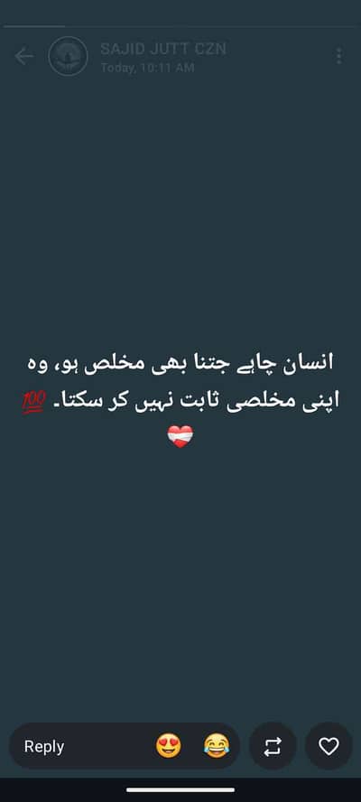 zain jutt