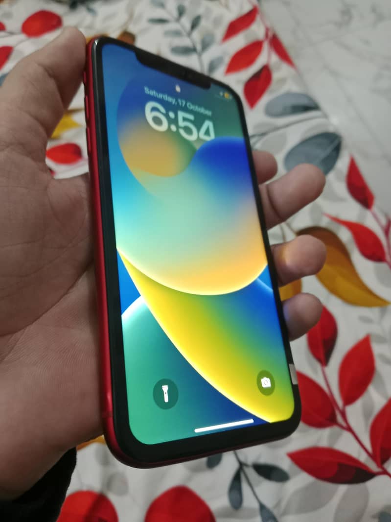 Apple iPhone 11 0