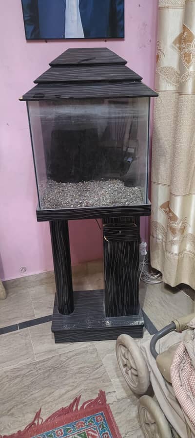 aquarium with Trolly