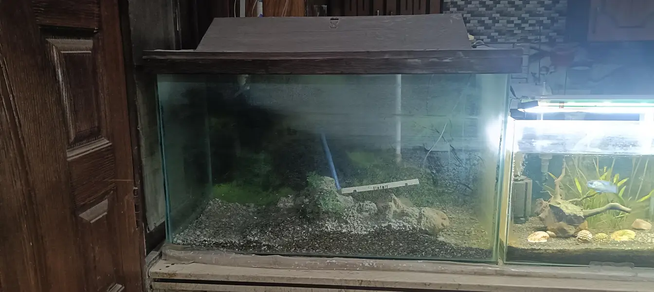 aquarium with Trolly — photo 6