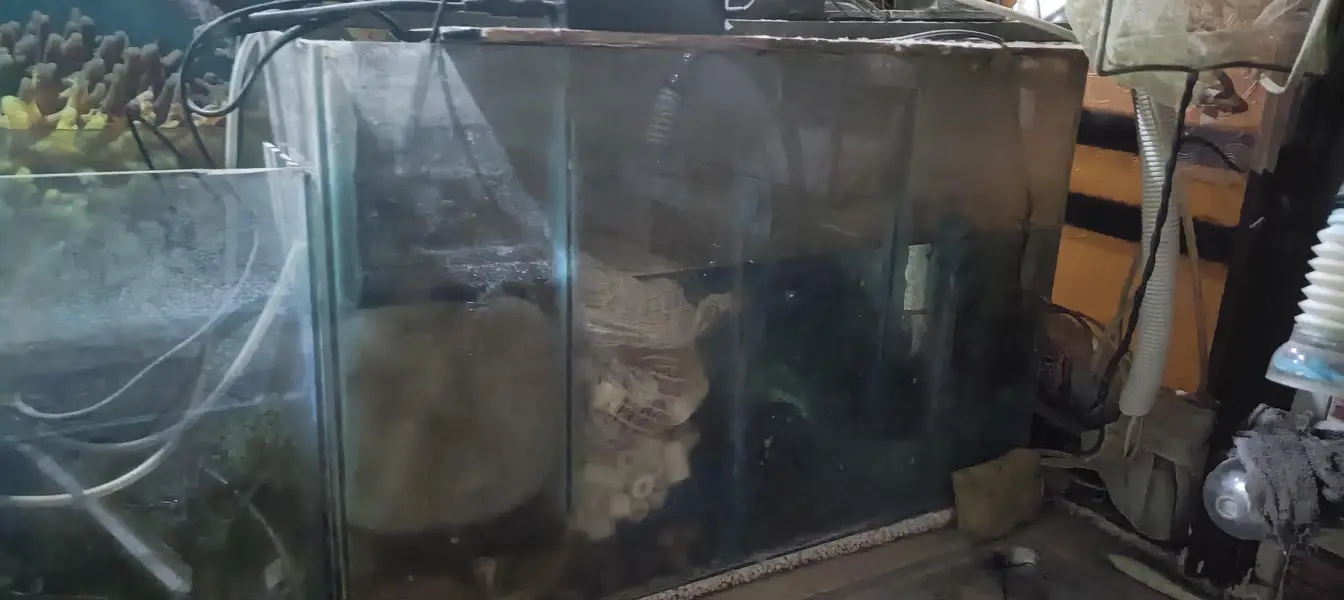 aquarium with Trolly — photo 7