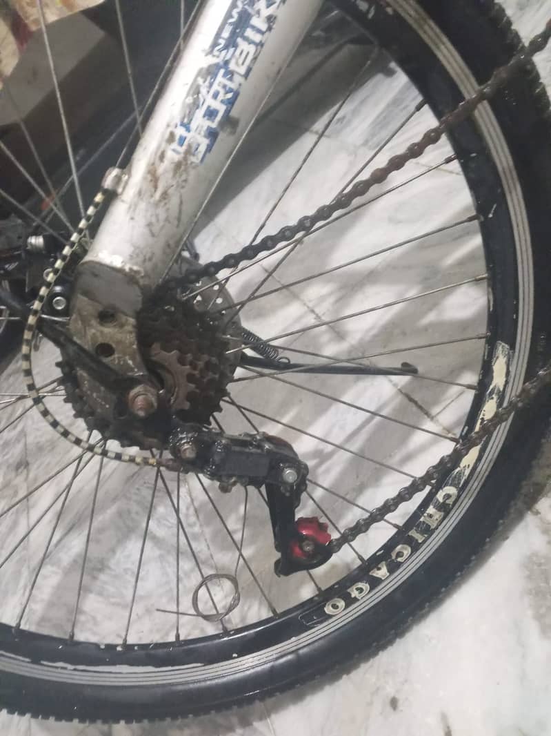 CHICAGO Mountain Cycle 5