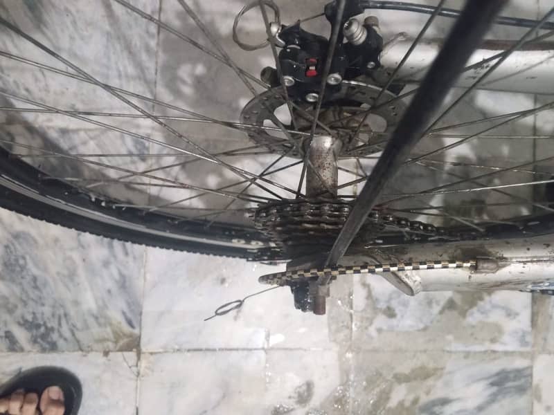 CHICAGO Mountain Cycle 9