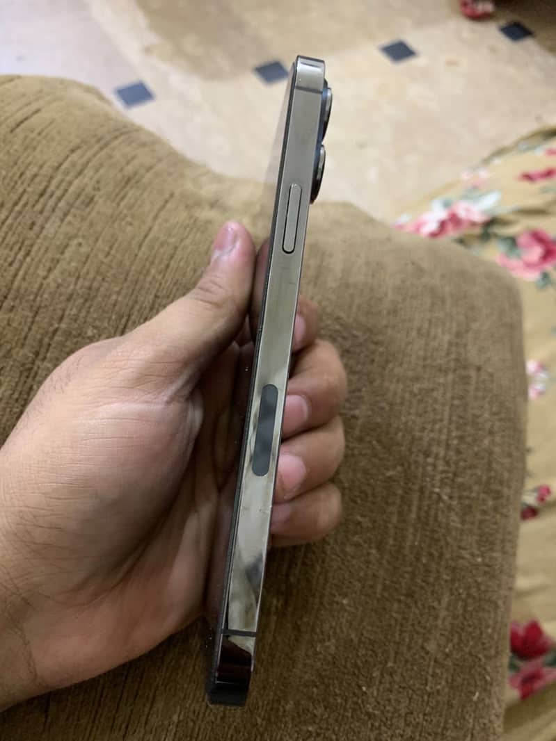 Apple iPhone 13 Pro Max 0