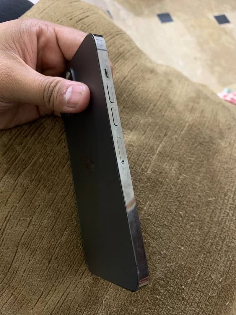 Apple iPhone 13 Pro Max 6