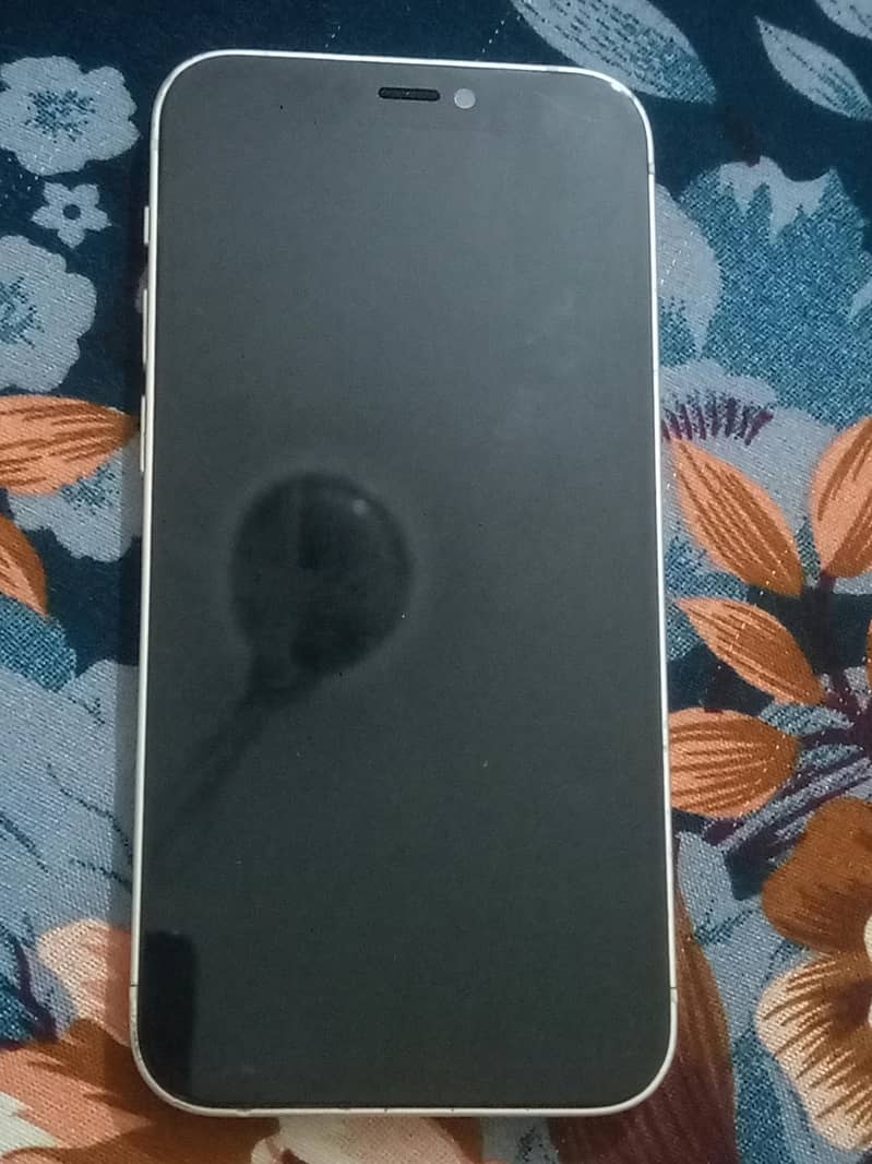 Apple iPhone 12 mini 1