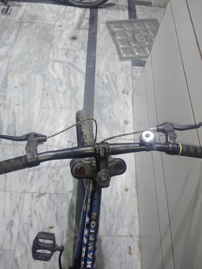 CHAMPION USA CYCLE