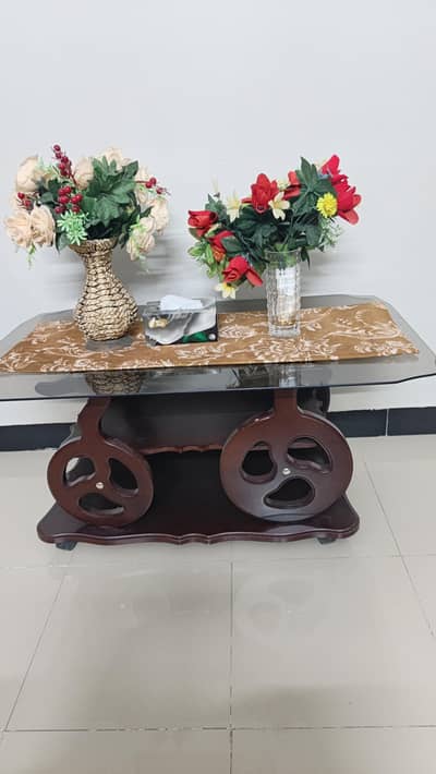 Sophisticated and Elegant Center Table