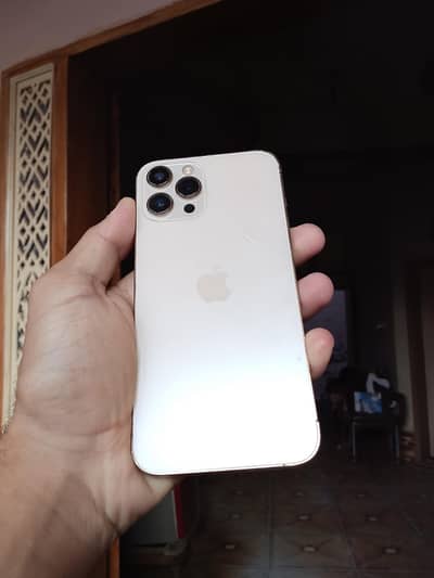 Apple iPhone 12 Pro Max
