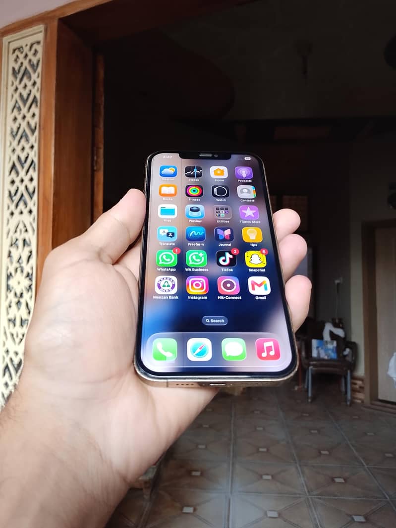 Apple iPhone 12 Pro Max 1