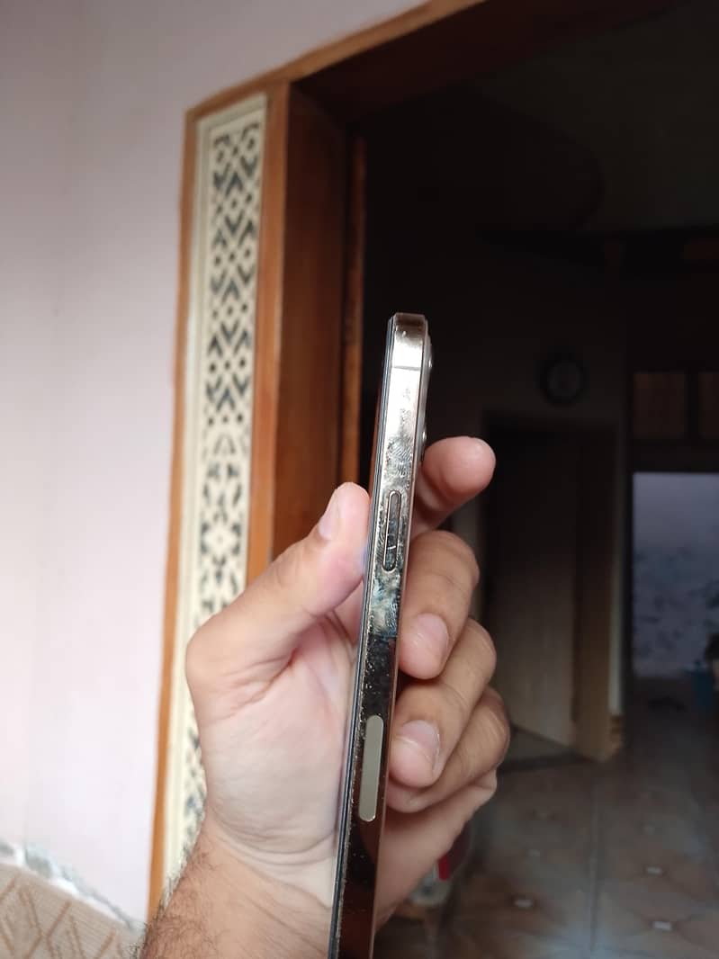 Apple iPhone 12 Pro Max 5