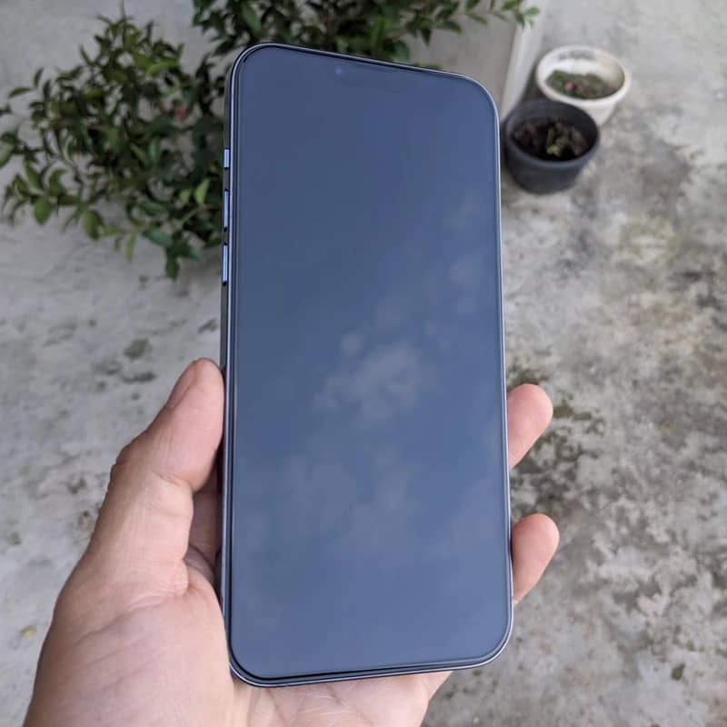 Apple iPhone 13 Pro Max 2