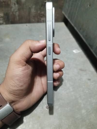 One Plus Other Model 13t