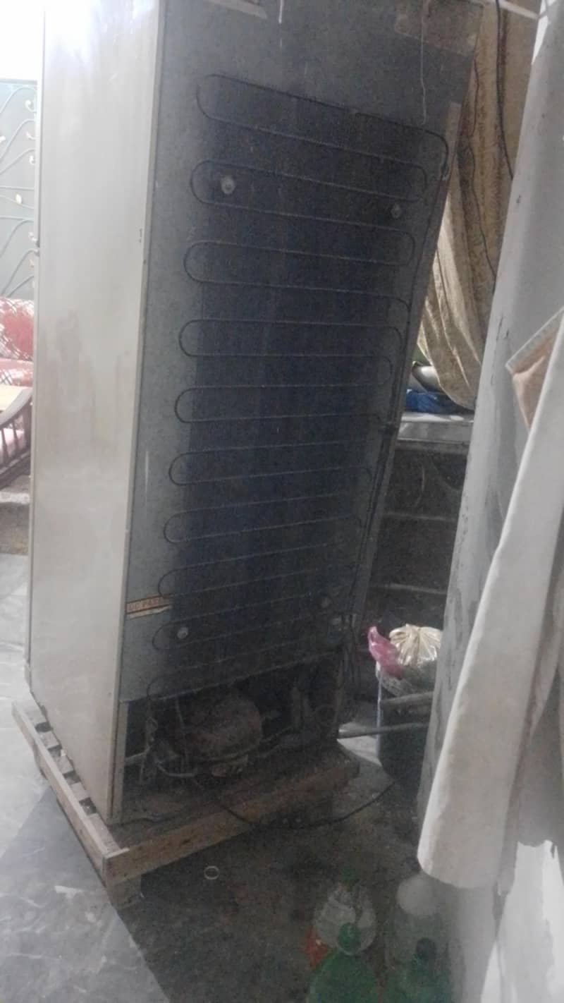 fridge 4