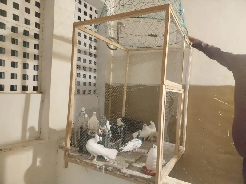 cage for sale — photo 2