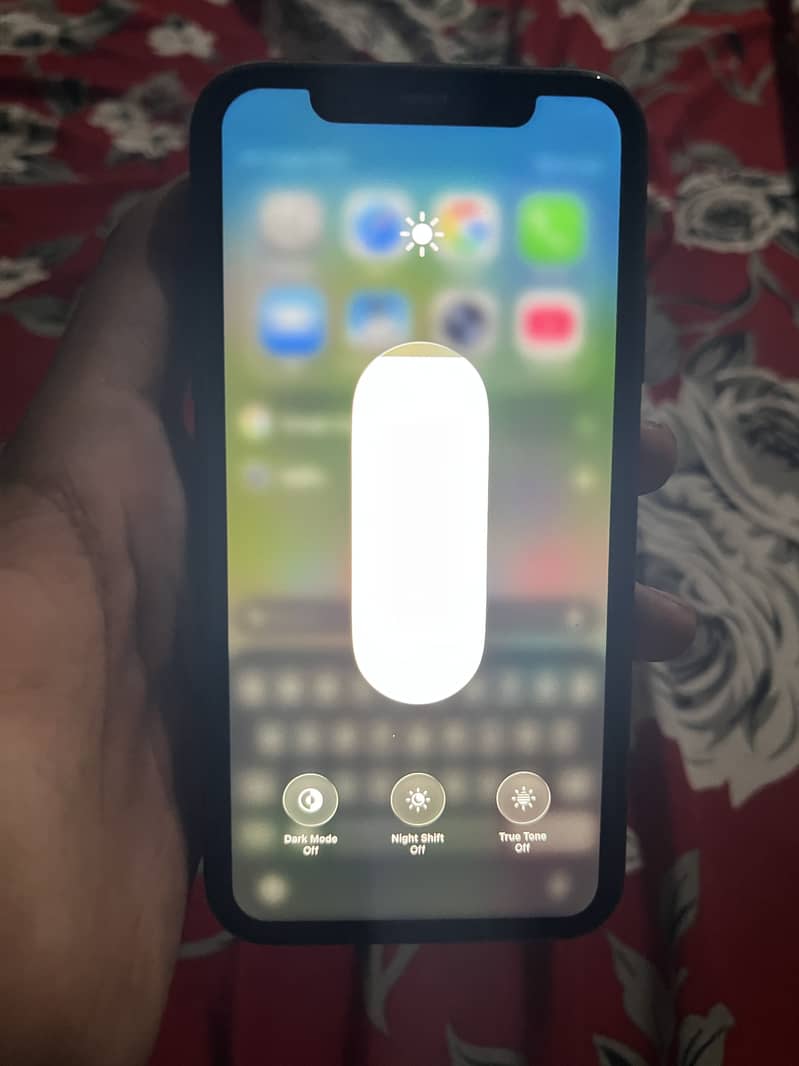 Apple iPhone 11 5