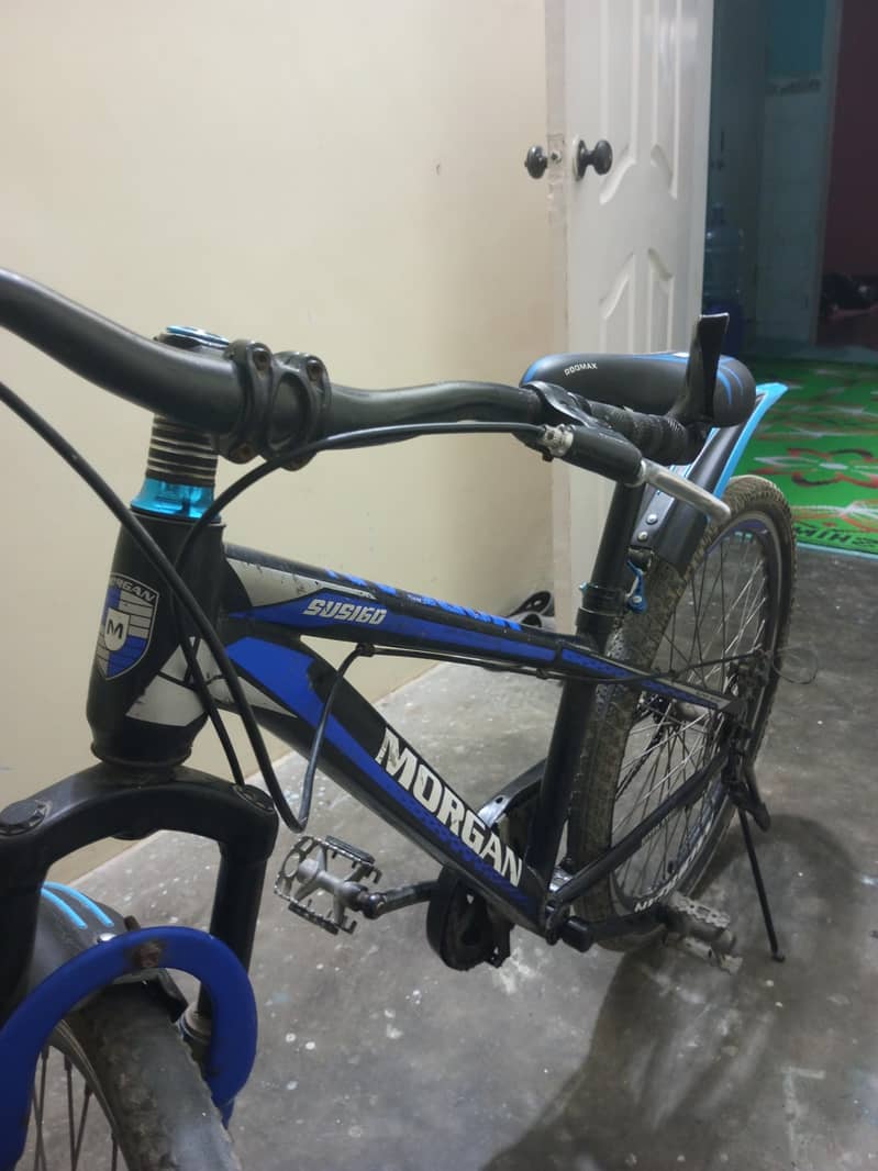 Morgan cycle 0