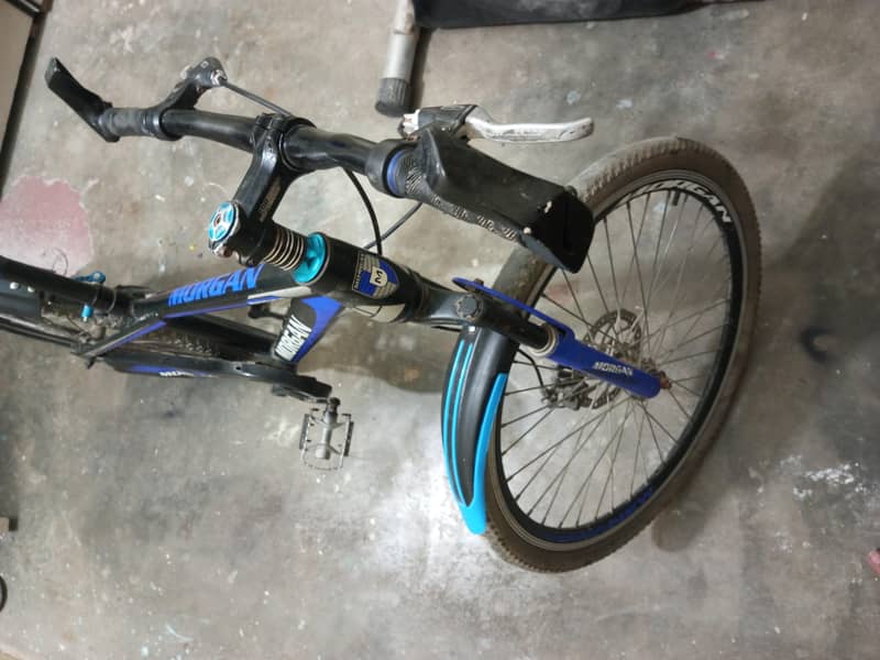 Morgan cycle 3