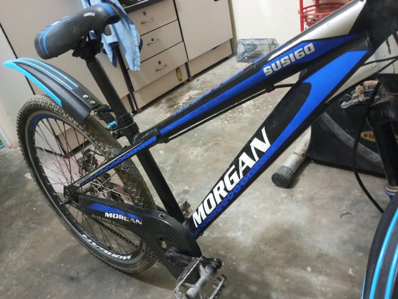 Morgan cycle 4