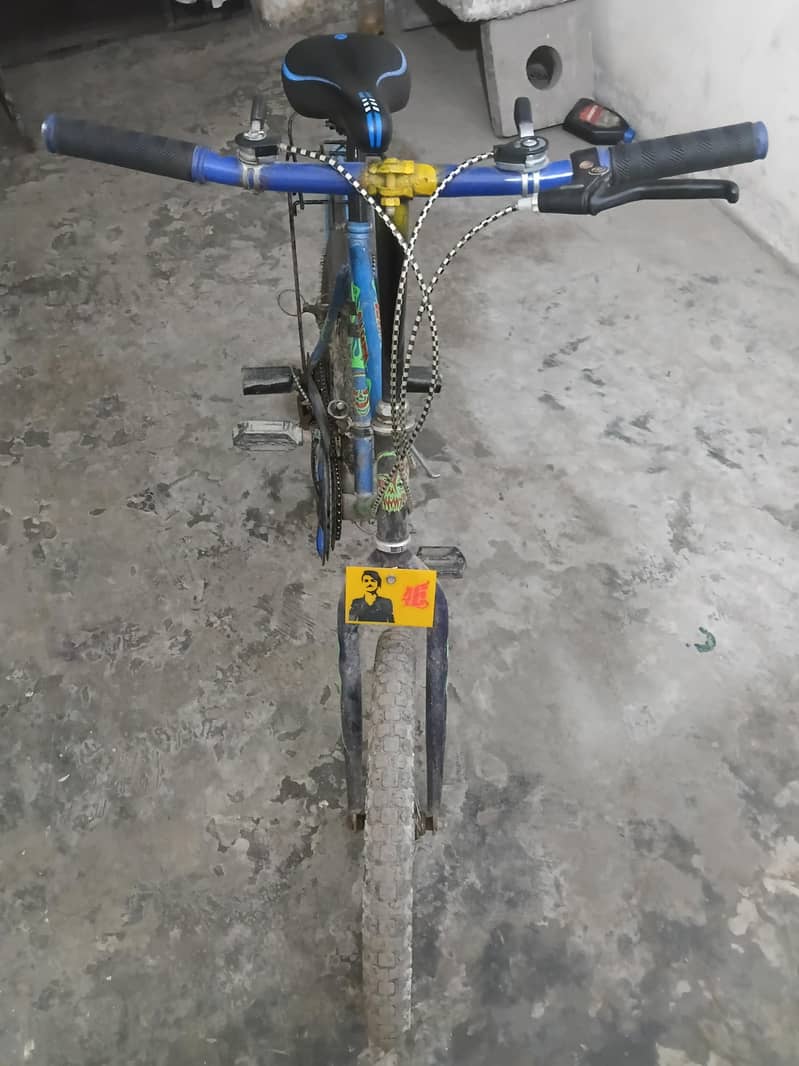 Willer cycle 2