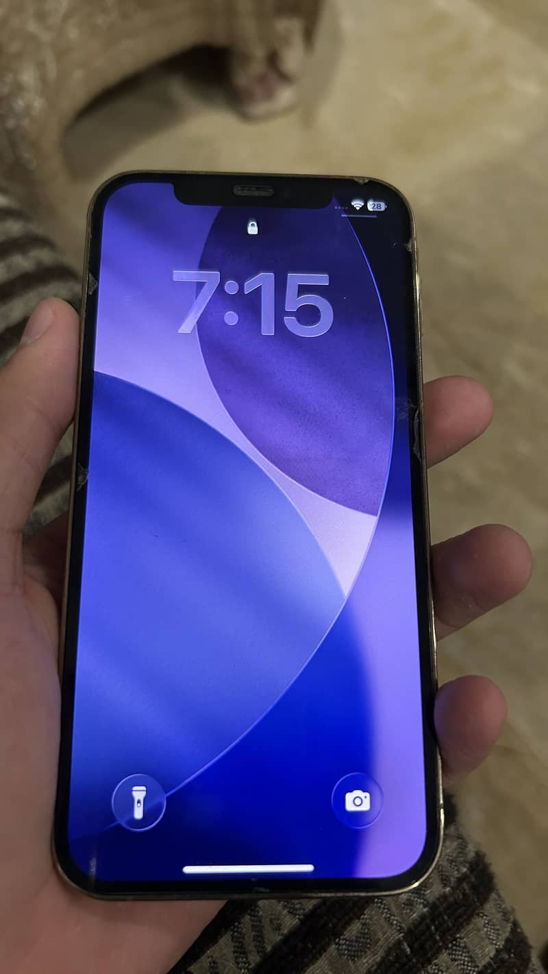 Apple iPhone 12 Pro 6