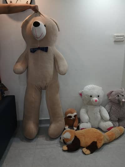 Five stuff toys