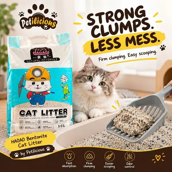 large Jet box and cat litter — photo 2