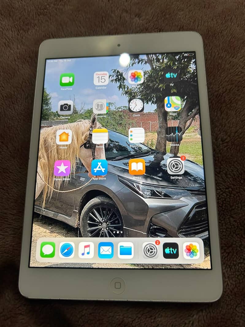 ipad mini 2 0