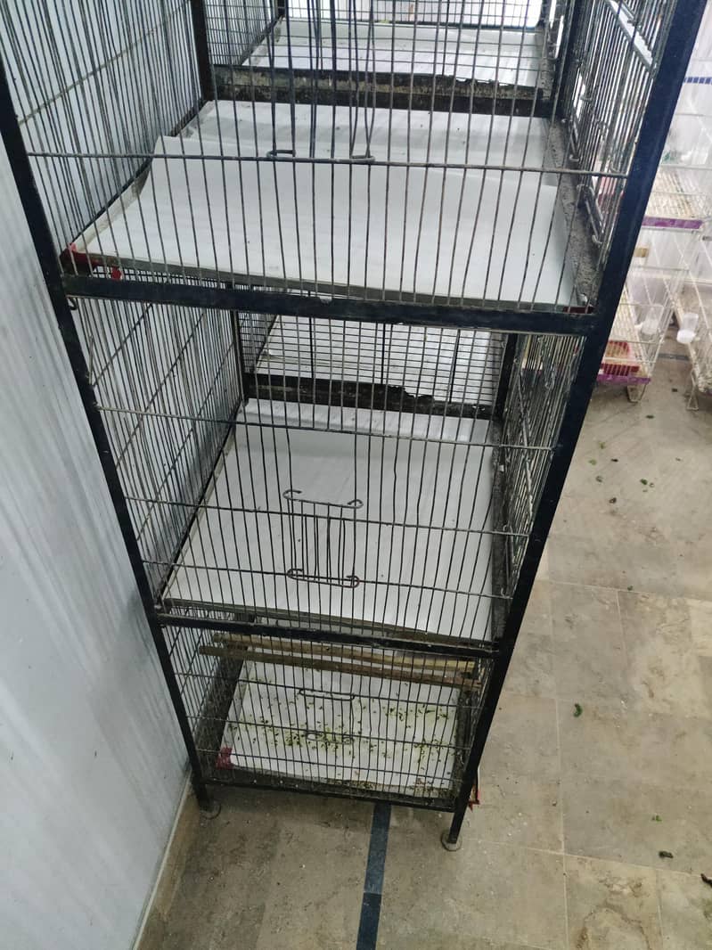 Fixed cage for sell 1