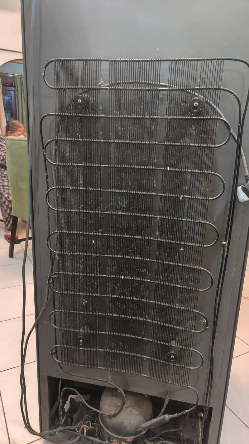 Vertical Freezer 1