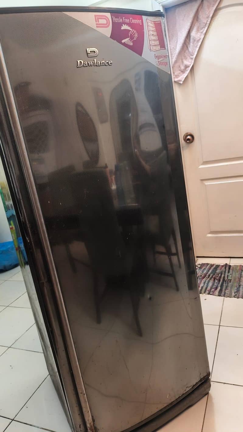 Vertical Freezer 2