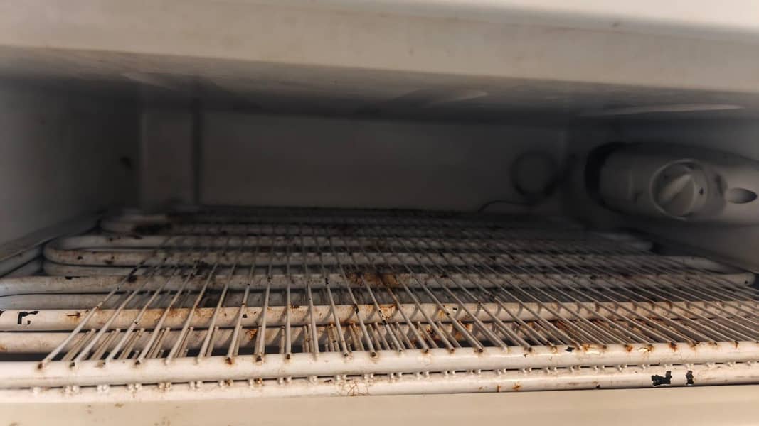 Vertical Freezer 5