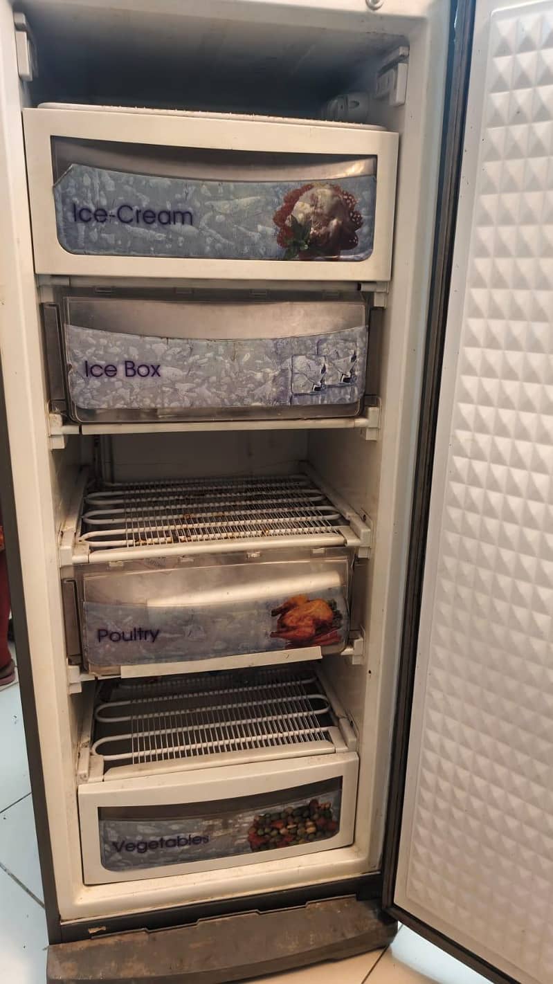 Vertical Freezer 6