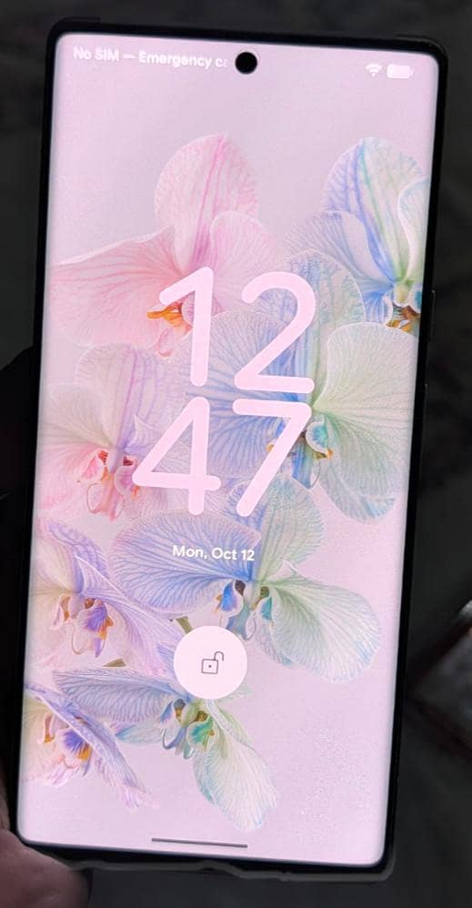 Google Pixel 6 Pro 4