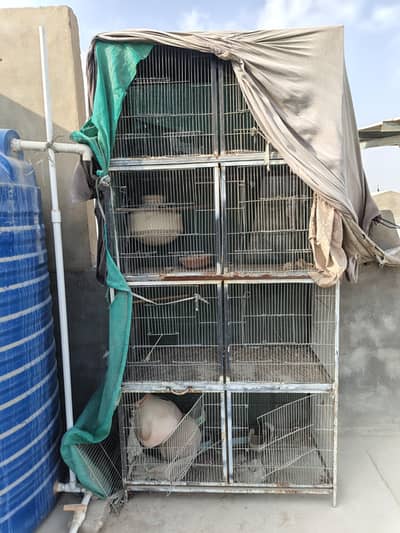 Cage for Sale