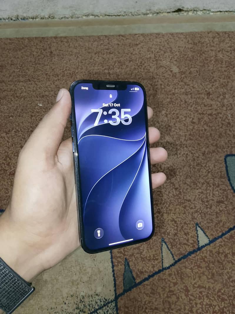 Apple iPhone 12 Pro Max 2