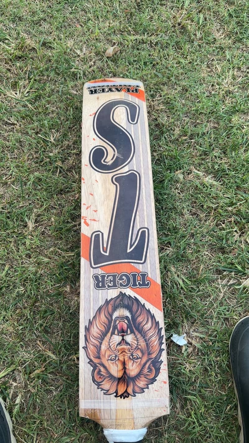 Ts player player edition 1