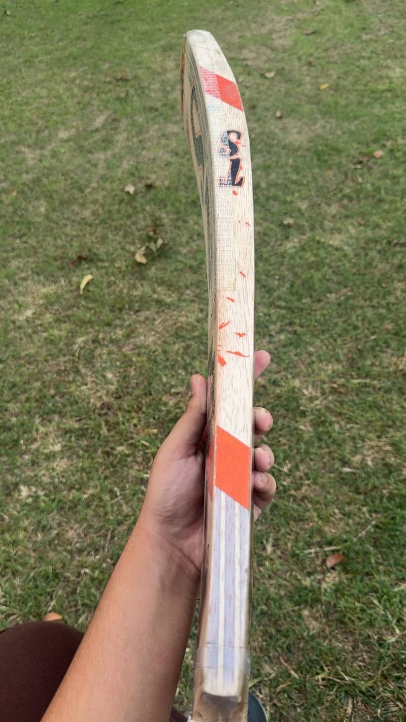 Ts player player edition 2