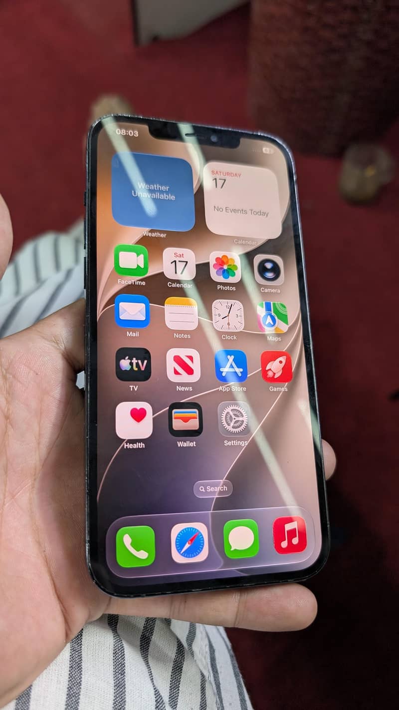 Apple iPhone 12 Pro Max 1