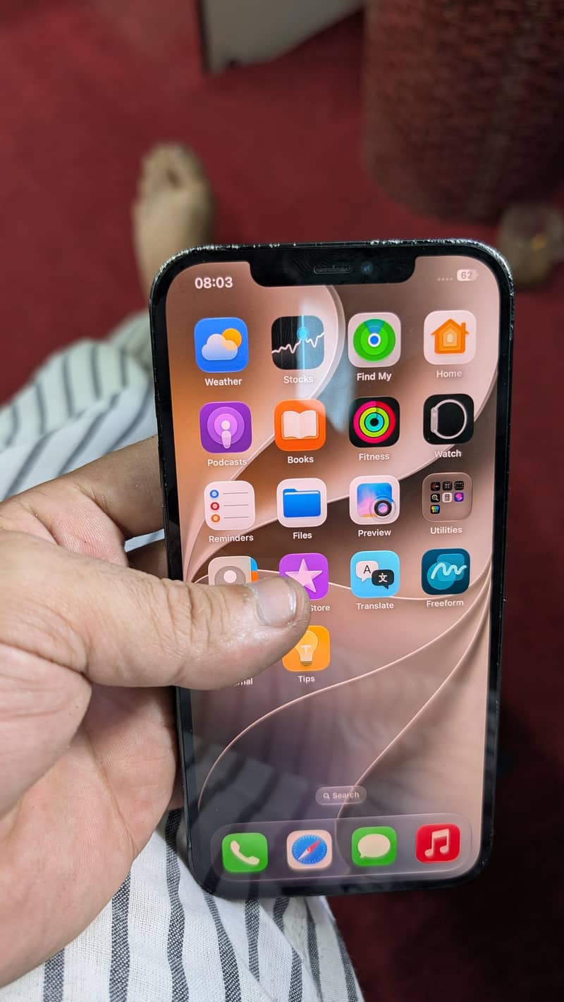 Apple iPhone 12 Pro Max 2