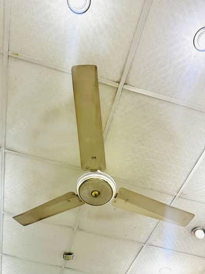 Yashica Ceiling Fan For Sale in Nowshera