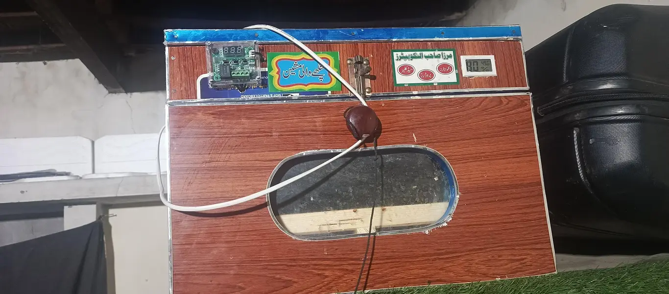 60 eggs incubater — photo 2
