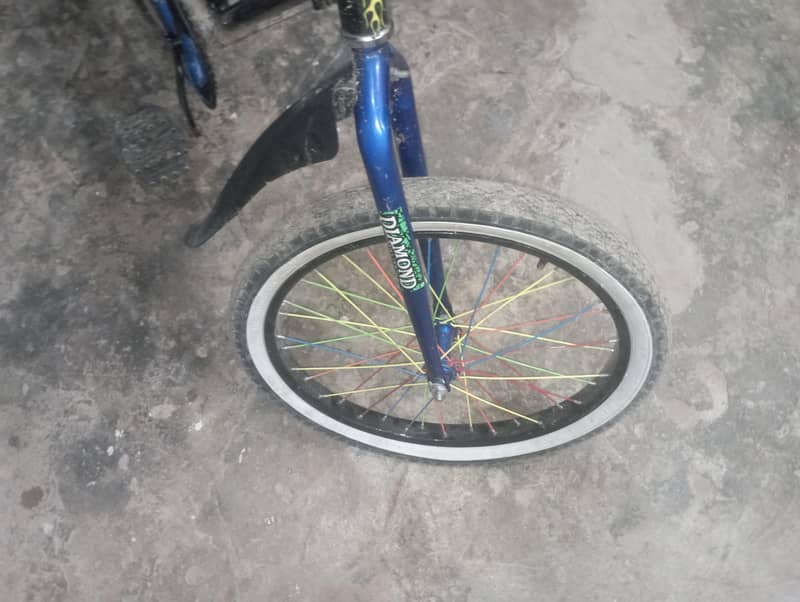 GERAE CYCLE 5
